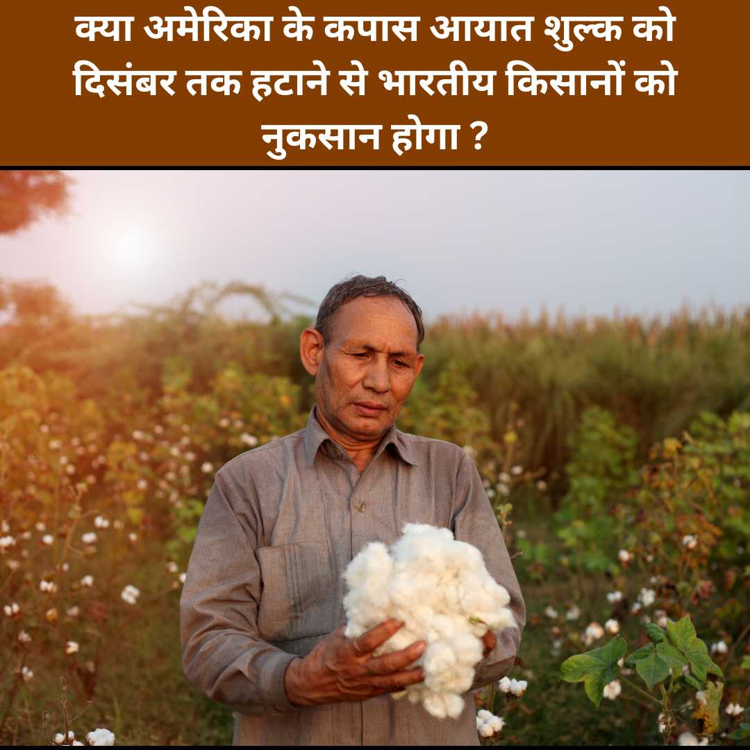 क्या अमेरिका के कपास आयात शुल्क को दिसंबर तक हटाने से भारतीय किसानों को नुकसान होगा?