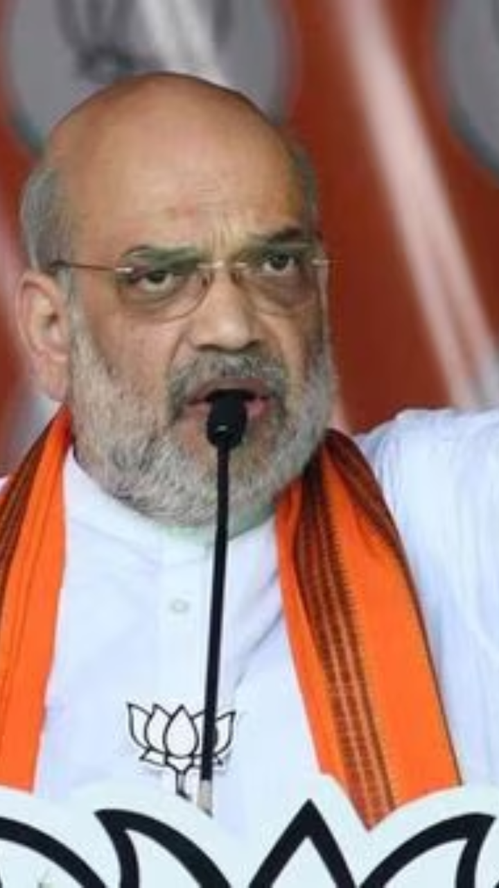 Amit Shah's Remarks on INDIA Alliance and Election Prediction