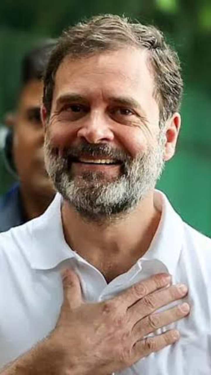 Interesting facts about Congress Vice President: Rahul Gandhi